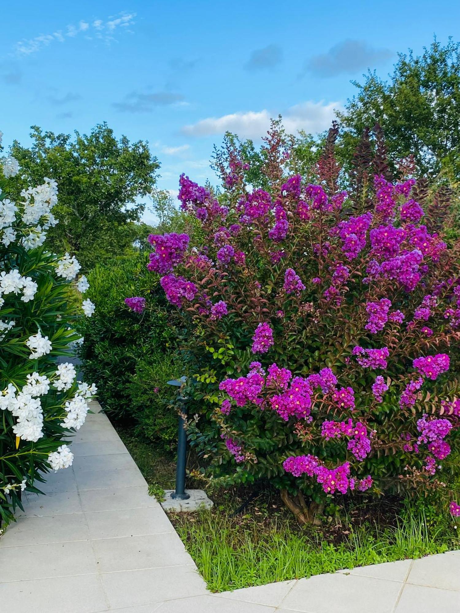 Villa Caplanne Sanguinet Bagian luar foto